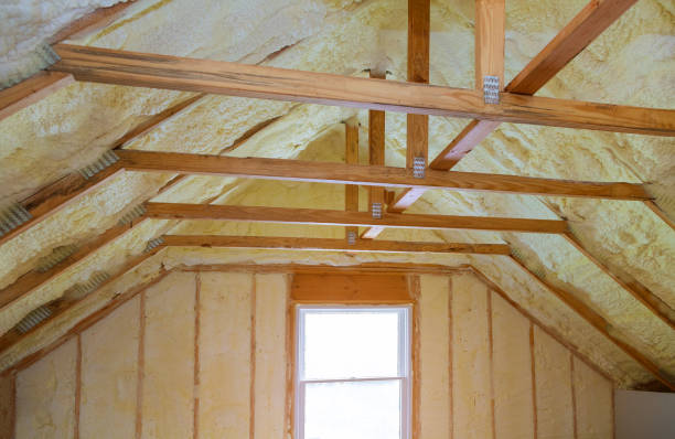 Best Insulation Maintenance and Repair in Northport, AL