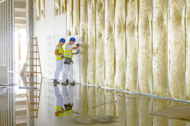 Types of Insulation We Offer in Northport, AL